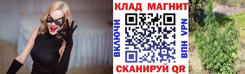Купить наркоту Сурск Cocaine  Марихуана  МЕФ  ГАШИШ 