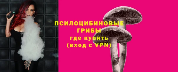 ПСИЛОЦИБИНОВЫЕ ГРИБЫ Армянск