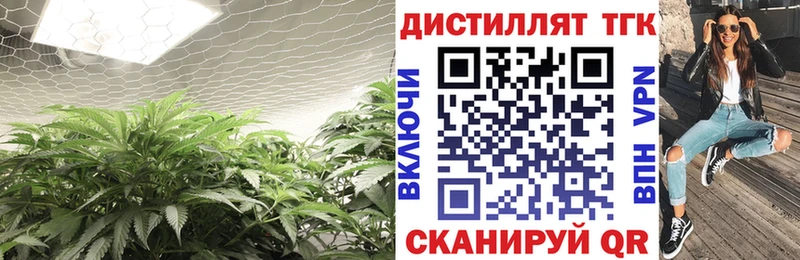 Дистиллят ТГК Wax  это наркотические препараты  Сурск  закладки 
