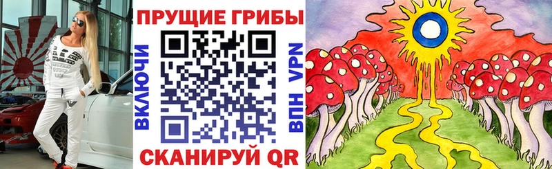Галлюциногенные грибы GOLDEN TEACHER  Сурск 