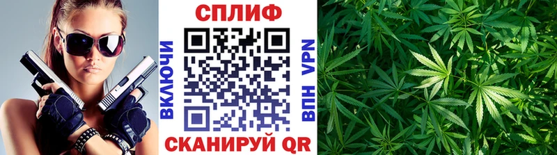 Каннабис OG Kush Сурск